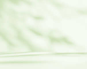 Empty green room studio with sunlight effect shadow of leaves. Minimal background for product presentation. Summer spring backdrop. Cosmetic and beauty products display room.