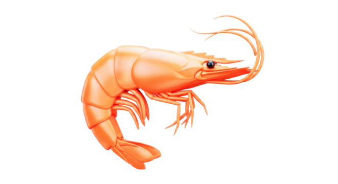 3d model of a cooked shrimp ocean delicacy, realistic seafood, culinary asset, isolated on transparent background