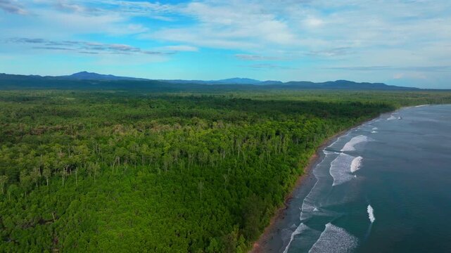 Untouched remote pristine coastline waves Cape Wom Papua New Guinea PNG aerial drone Madang Wewak Kavieng Vanimo Tufi sunny beach blue sky tranquil tropical shoreline East Sepik Province forward