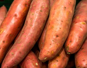 Close-up of many vibrant pink sweet potatoes