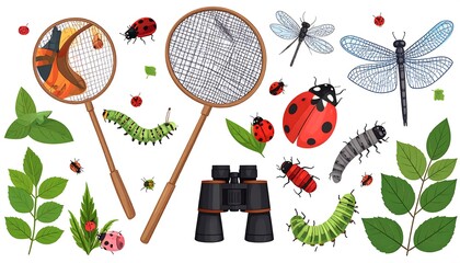 Colorful illustration showcasing diverse insects, leaves, binoculars, and a net for observing nature. The design has a cartoonish style with a white background, bright colors, and simple, clean lines