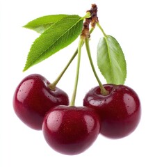 Three ripe cherries with green leaves hanging from their stems, isolated on a white background