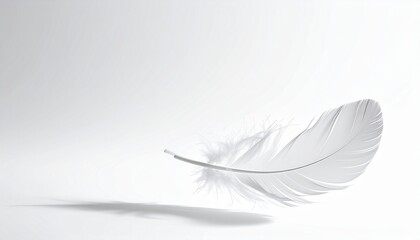 Obraz premium A Soft White Feather Symbolizing Peace and Lightness