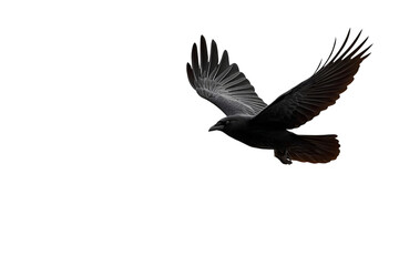 Majestic raven soaring through the air with wings spread wide capturing freedom and nature's wild beauty