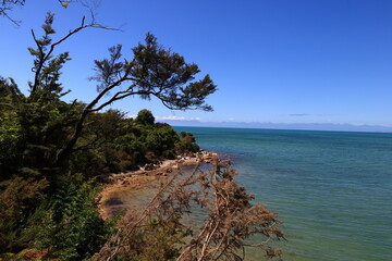 Fototapeta premium Abel Tasman National Park , New Zealand