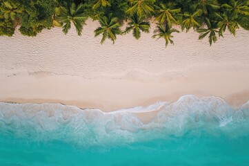 Fototapeta na wymiar Drone view of a tropical coastline featuring white sandy shores, clear turquoise waters, and palm trees.