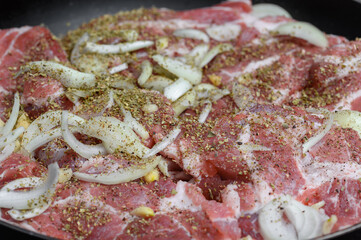 Close-up of marinated meat, pork neck, with dried herbs and onions, a traditional Polish recipe from Grandma