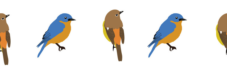 Bird con border. Bird feather silhouette symbol. Bird border isolated on a white background