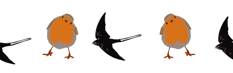 Bird con border. Bird feather silhouette symbol. Bird border isolated on a white background