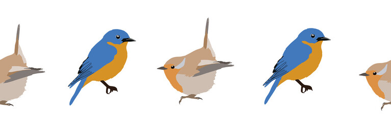 Bird con border. Bird feather silhouette symbol. Bird border isolated on a white background