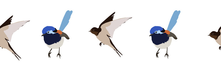Bird con border. Bird feather silhouette symbol. Bird border isolated on a white background