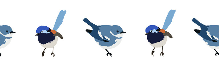 Bird con border. Bird feather silhouette symbol. Bird border isolated on a white background