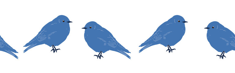 Bird con border. Bird feather silhouette symbol. Bird border isolated on a white background