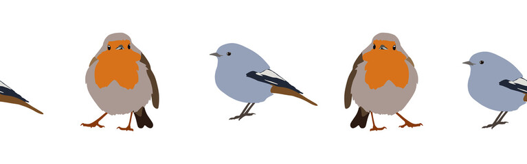 Bird con border. Bird feather silhouette symbol. Bird border isolated on a white background