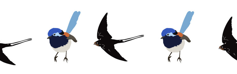 Bird con border. Bird feather silhouette symbol. Bird border isolated on a white background