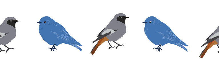 Bird con border. Bird feather silhouette symbol. Bird border isolated on a white background