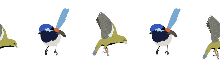 Bird con border. Bird feather silhouette symbol. Bird border isolated on a white background