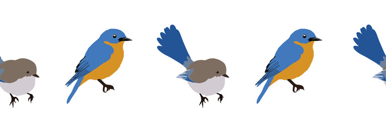 Bird con border. Bird feather silhouette symbol. Bird border isolated on a white background