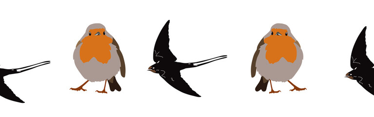 Bird con border. Bird feather silhouette symbol. Bird border isolated on a white background