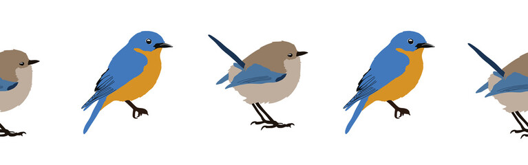 Bird con border. Bird feather silhouette symbol. Bird border isolated on a white background