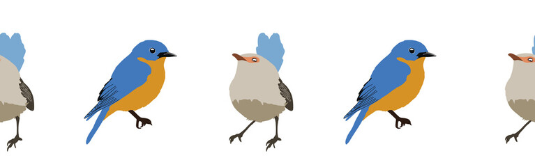 Bird con border. Bird feather silhouette symbol. Bird border isolated on a white background