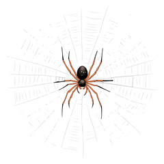 Obraz premium spider, insect, halloween, spider web, festival, vector, transparent background, animal, arachnid, nature, cobweb, danger, spiderweb, scary, horror, creepy, pattern, predator, trap, net, arachnophobia