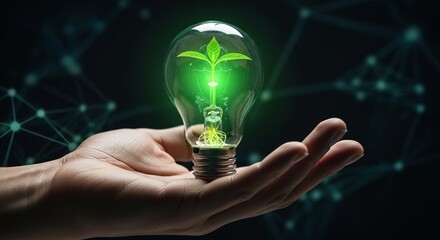 Light bulb with a plant symbolizing growth, environmental protection, and technological innovation, a global concept of ecology and sustainability