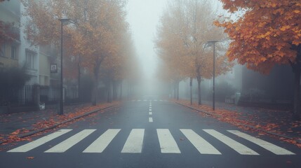 pedestrian cross, walkway for pedestrians in the city