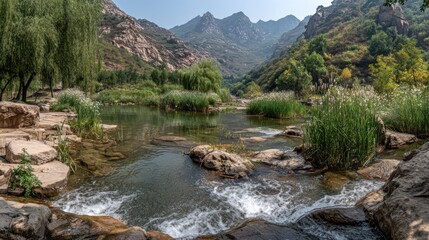 Mountain stream flows through a rocky landscape with lush greenery, under a clear blue sky
