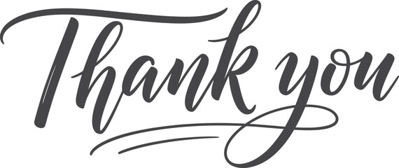 Thank You Typography with Calligraphic Style on White Background Design