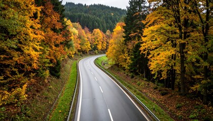 Fototapeta premium Winding road through autumn forest