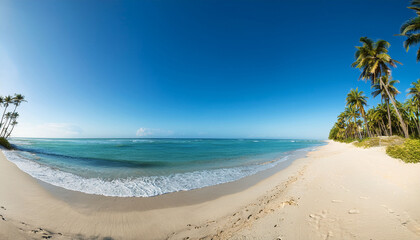 Obraz premium Wide Angle Tropical Shot Of A Sandy Beach Lined With Palm Trees Under A Clear Blue Sky