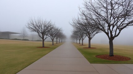 Foggy walkway lined with trees leads into hazy distance, with green lawns flanking the path