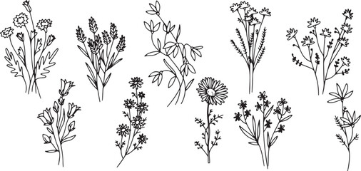 flower, floral, botanical, doodle, sketch, leaf, plant, blossom, handdrawn, garden, organic, lineart, vector, cute, minimal, nature, wildflower, stem