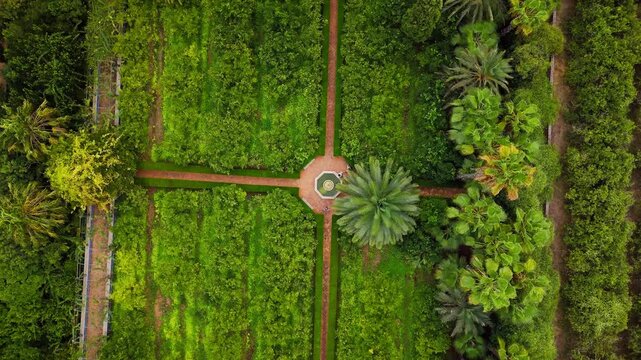 Drone video of a Spanish public garden featuring symmetrical pathways, vibrant greenery, palm trees, and a central fountain creating a peaceful and structured natural design.
