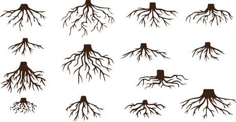 Roots Outline Vector – Hand Drawn Plant Root Illustration, Natural Growth Doodle, Minimal Line Art, Black and White Isolated Symbol, Organic Agriculture Clipart, Botanical Root System Drawing © Geetaroy