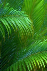 Vivid close-up of bright green palm fronds, glistening with dewdrops, create a vibrant, natural composition