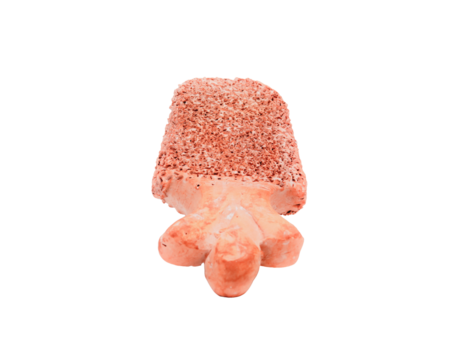 Porous, abstract coral like object in peach tones