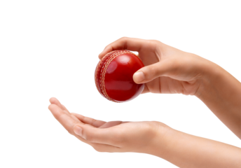 Red cricket ball held and passed between hands, isolated
