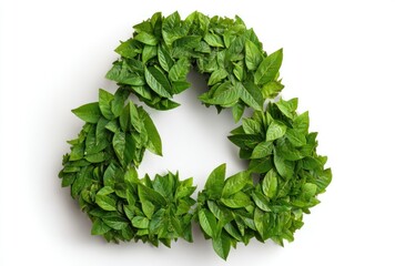 Recycle symbol made of fresh green leaves arranged on white, casting a soft shadow, symbolizes environmental consciousness