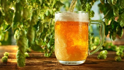 Pouring Beer into Glass with Hops Plants , Close-up