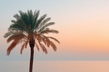 hyperrealistic ultraminimalist of modern sky with pristine background