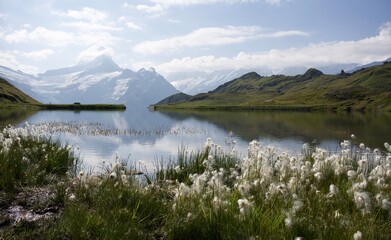 Summer panorama of a high mountain lake in the Swiss Alps