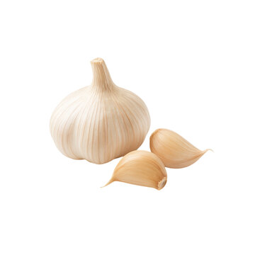 Fresh garlic bulb and cloves isolated on transparent background