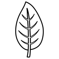 leaf cartoon illustration outline 