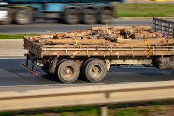 Raw Power: Delivering Nature’s Backbone