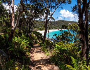 A sun-drenched coastal path winds through lush vegetation, revealing a turquoise bay.