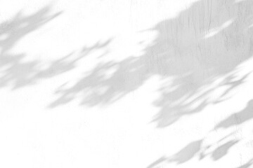 shadow overlay effects of realistic abstract natural tree leaves shadow on wall background,Summer sunlight and shadow overlay effect,shadow for photo interior backdrop studio mockup