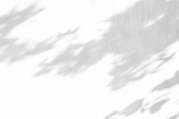 shadow overlay effects of realistic abstract natural tree leaves shadow on wall background,Summer sunlight and shadow overlay effect,shadow for photo interior backdrop studio mockup