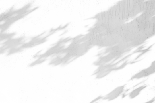 shadow overlay effects of realistic abstract natural tree leaves shadow on wall background,Summer sunlight and shadow overlay effect,shadow for photo interior backdrop studio mockup